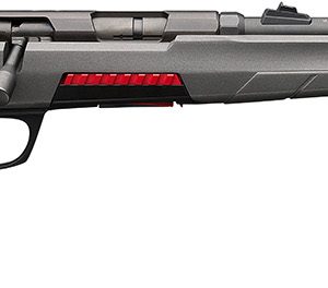 Winchester Repeating Arms 525200102 Xpert 22 LR 10+1 18", Matte Black Barrel/Rec, Gray Fixed Skeletonized Stock, Detachable Mag