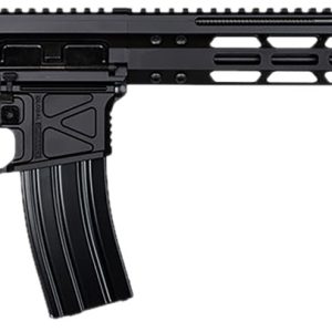 Global Ordnance LLC 197892003223 Monolithic 5.56 NATO 16" Barrel, M-LOK Handguard, Modular Black Stock, Black Polymer Grip