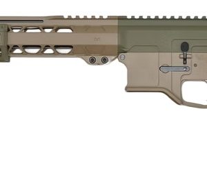 BILSON ARFCSFG20R1 BA15FC  556   16 20R FDE/SNPGRN