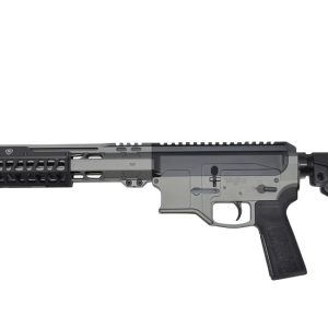 BILSON P2FCSTB20R1 BA15FCP 300BO    20R TGRY/GBLK