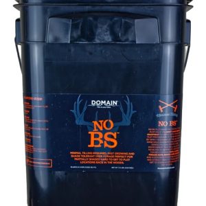 DOMAIN NBSFP45 NO BS