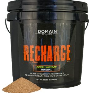 DOMAIN RCMIN10 RECHARGE DEER MINERAL (10LB)