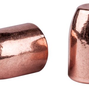 Speer 4713 Handgun Plinking 40 Caliber .400 180 GR Flat Nose 500 Box