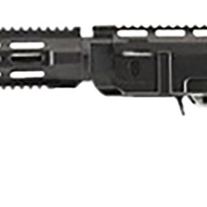 Archangel AA556RNB AR-15 Style Conversion Stock Black Synthetic 6 Position Collapsible for Ruger 10/22 (No Bayonet)