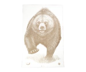 ACTION TGT AK STATE PARK BEAR 100PK