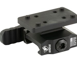 AM DEF LW TR DPP/EFLX QD CO-WITNESS