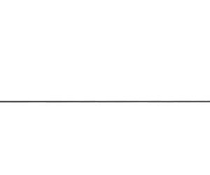 REAL AVID BORE MAX ROD .30CAL 36