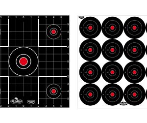 B/C DIRTY BIRD COMBO TARGETS 12PK