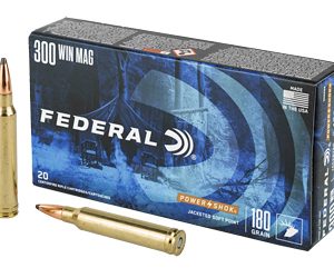 FED PWRSHK 300WIN 180GR SP 20/200