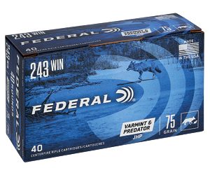 FED AM EAGLE V&P 243WIN 75GR 40/200