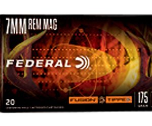 FUSION 243WIN 95GR FSP 20/200