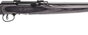 SAVAGE A17 17HMR HVY BBL 22" - ACCU TGR BLU/GRY LAM SPORTER