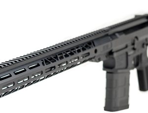 FAXON SENTINEL AR-10 RIFLE - 8.6 BLACKOUT 16" BBL. B5 STOCK
