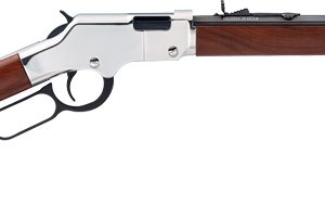 HENRY H4 GOLDENBOY SILVER - YOUTH 22S/L/LR 17" OCT. WALNUT