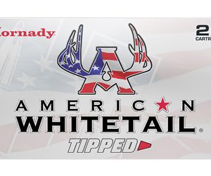 HRNDY AWT 7MM MAG 154GR SST 20/200