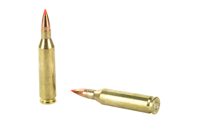 HRNDY SF 243WIN 58GR VMAX 20/200 - Image 4