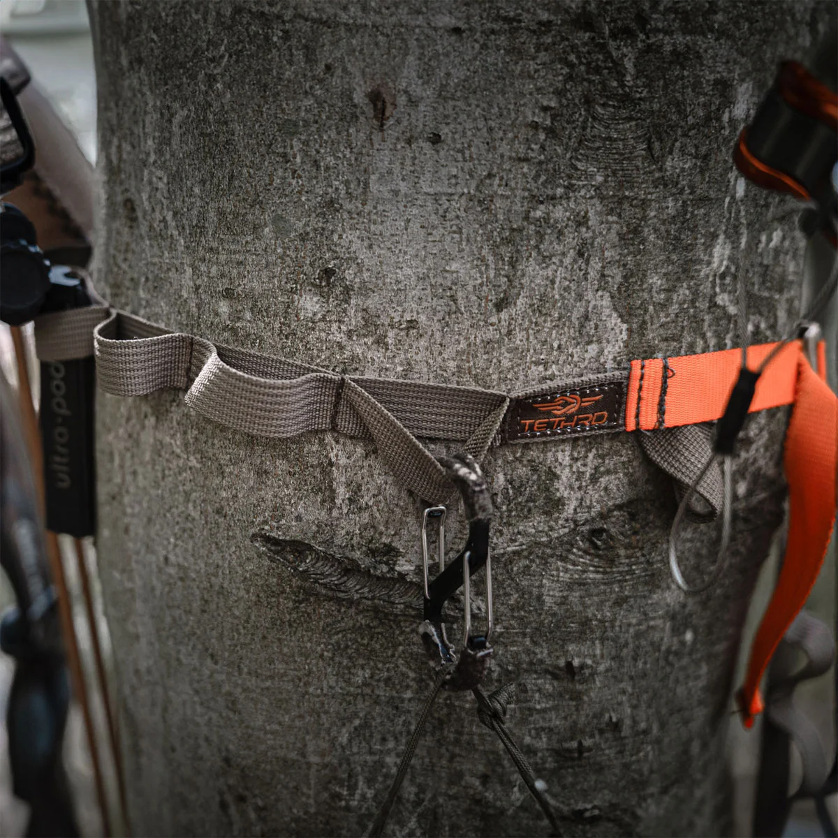 Tethrd HYS Strap – Lightweight Public Land Gear Hanger - Image 2