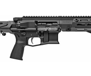 MAXIM PDX SBR 300BLK 5.5" 20RD BLK