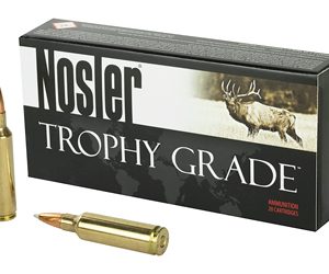 NOSLER 300WSM 180GR AB 20/200