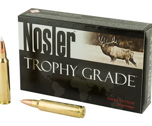 NOSLER 30NOS 180GR AB 20/200