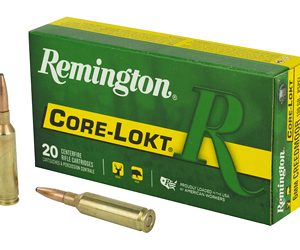 REM 6MM 100GR CM CL 20/200