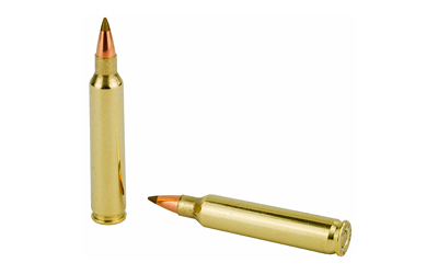 REM PRMR ACCU 204RUG 40GR 20/200 - Image 4