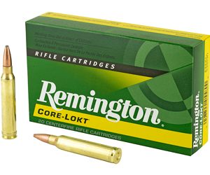 REM 300WIN 180GR PSP CL 20/200