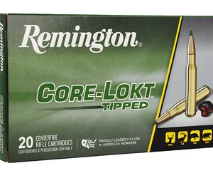 REM CORE-LOKT 7MM PRC 175GR 20/200