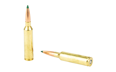 REM PRMRCUT CPR 7MMPRC 160GR 20/200 - Image 4