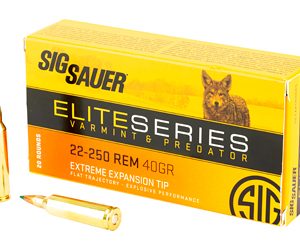 SIG AMMO 22-250REM 40GR V&P 20/200