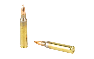 SOLGW 556NATO 62GR FMJ 50/1000 - Image 4