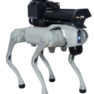 THROWFLAME THERMONATOR ROBOT - DOG FLAMETHROWER