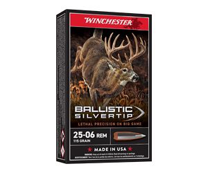 WIN BLSTC TIP 2506RM 115GR 20/200