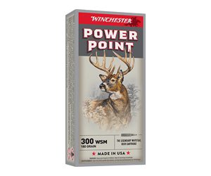 WIN SPRX PWR PNT 300WSM 180GR 20/200