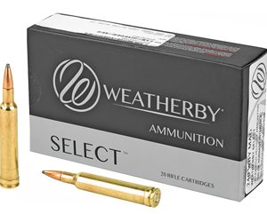WBY AMMO 240WBY 100GR INTERLK 20/200