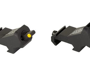 XS XTI2 DXS STANDARD DOT ORN