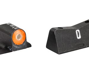 XS DXT2 BIG DOT SIG P226/P320/XD ORG