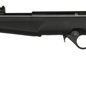 ROSSI RB22 22LR BLK/SYN FLAG 16.5" #