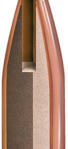 Hornady NTX Bullets .20 cal .204" 24 gr NTX 100/ct