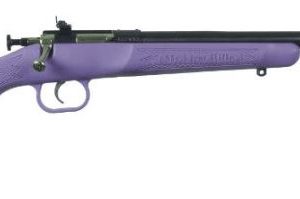 KEYSTONE SPORTING ARMS CRICKETT 22LR BL/PURPLE SYN