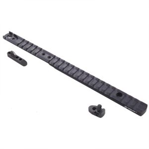 MARLIN 1895 LEVER RAIL SIGHT SYSTEM