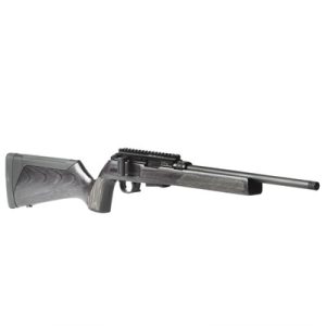 FORCE B1 22 LONG RIFLE 16.1'' BBL (1)10RD MAG GRAY