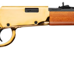 ROSSI RIO BRAVO 22LR GLD/WD 18" #
